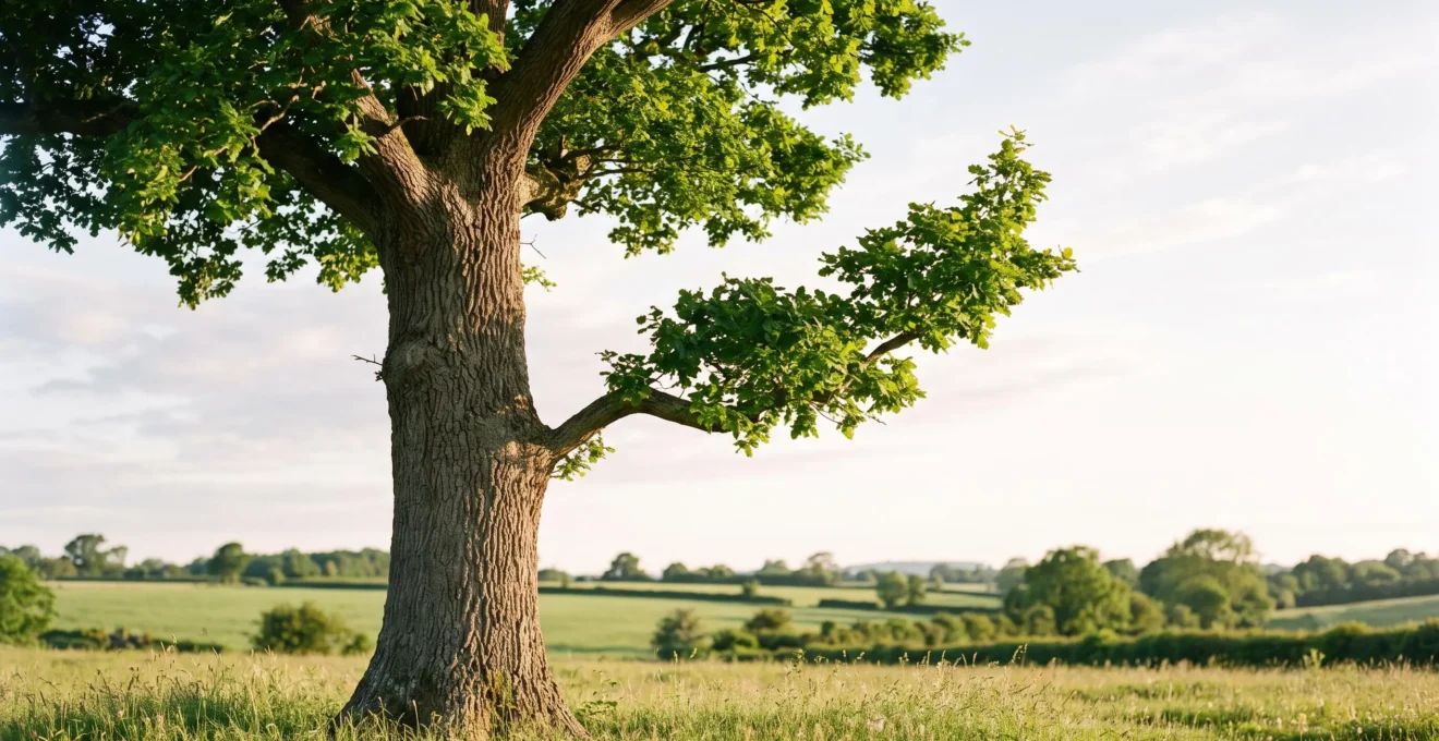 Photographie symbolique d'un arbre unique dont une branche vigoureuse se développe sans affaiblir le tronc principal, illustrant la diversification d'activité sans cannibalisation